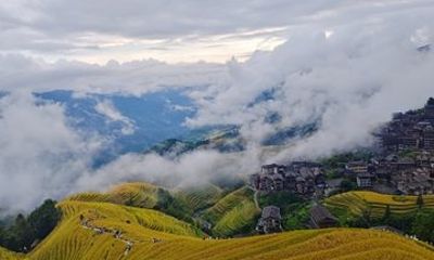 Longji Rice Terraces with longhair Village Private Day Tour