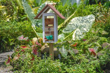 Costa Rica Stingless Bee Honey and Blue Zone Cultural Experience