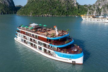 Hanoi: 2-Day Bai Tu Long Bay Luxury Escape Cycad 5-Star Cruise