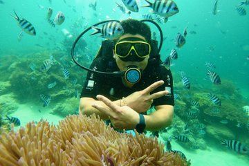 Nha Trang Scuba Diving Tour Marine Park