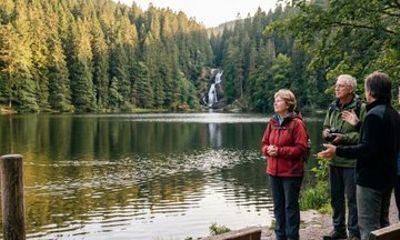 Private Full-Day Tour in Baden-Baden Black Forest Heritage