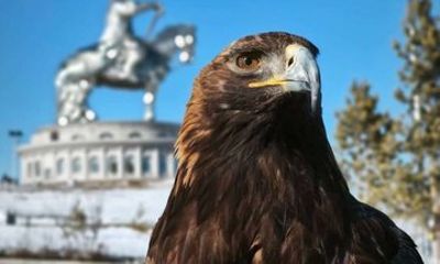 Terelj Park and Chinggis Khan Statue Tour with Horse Riding