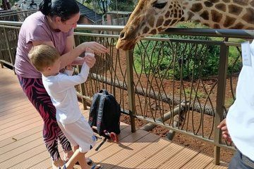 Giraffe Centre and Visit to Kobe beads Factory Guided Tour