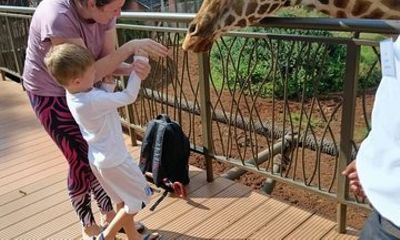 Nairobi Half Day Tour Giraffe Centre and Museum of Illusions