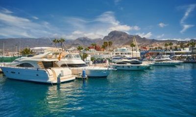 Private Shore Tour: Whale Watching Adventure in Costa Adeje