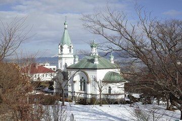 Hakodate Full Day Sightseeing Tour with Local Guide Private Car