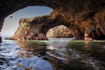 Full day Paracas Ica Tourist Transport from Lima