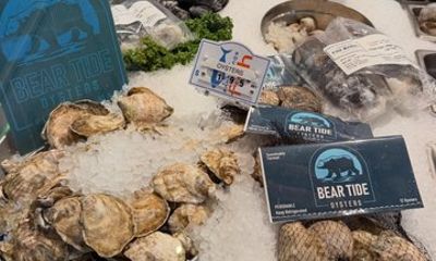 Bear Tide Oyster Tasting Cruise in Plymouth MA