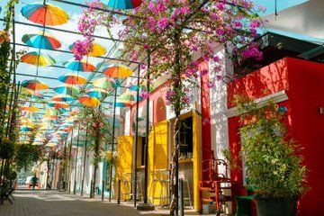Shared Guided Puerto Plata City Tour and Parasailing