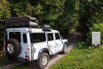 Scenic Full-Day 4WD Rainforest & Rice Terrace Tour in Bali