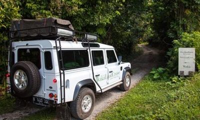 Scenic Full-Day 4WD Rainforest & Rice Terrace Tour in Bali