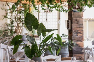 Plakias Authentic Cretan Wine Tasting Experience