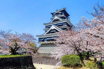 Kumamoto Castle, Mount Aso and Kusasenri 1 Day Tour