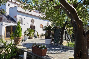 Pompeii and Oil Bio Farm Experience Private Tour with Lunch
