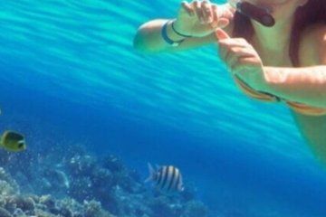 St John's Antigua Snorkel and Sea Turtles Adventure Green Island