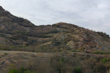 Jawai Leopard Safari Day Trip from Jodhpur High Chance Sightings