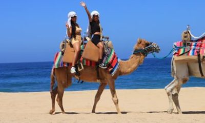 Camel Ride Adventure in Los Cabos with Tequila Tasting