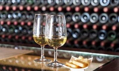 Ye Lajares Wine and Gourmet Private Shore Tour