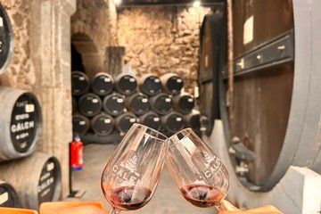 Porto Wine Tour the Wines that Built the City Insider Experience