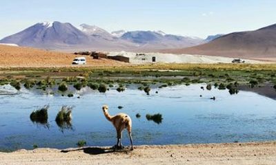 Salt Flats Route 8 Hour Tour from San Pedro de Atacama