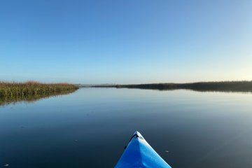 Masonboro Island Intracoastal Kayak Tour
