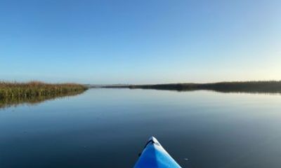 Masonboro Island Intracoastal Kayak Tour
