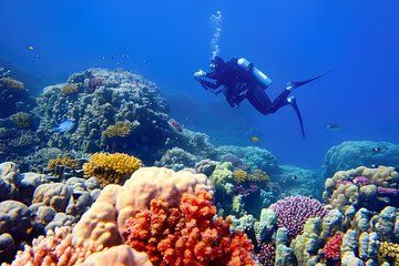 Tangier Morocco Private Dive Adventure