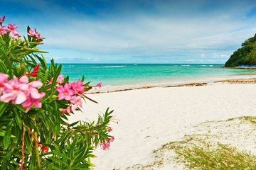 Island Flava Beach Hop Tour