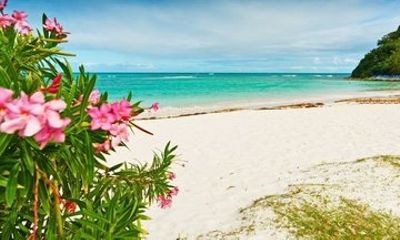 Island Flava Beach Hop Tour