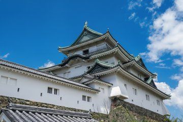 Wakayama: Private Custom Tour with Local Guide