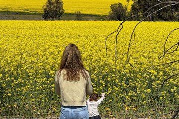 From Perth Private Premium Wildflowers and Canola Fields Tour