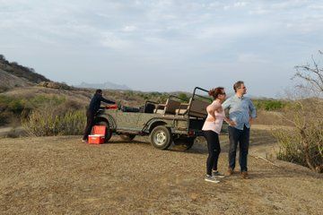 Jodhpur To Udaipur Via Jawai Leopard Safari Ranakpur Temple Tour