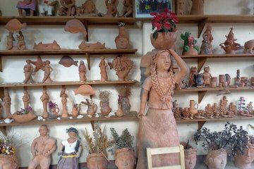 Seeing Hands and the Immortal Flower