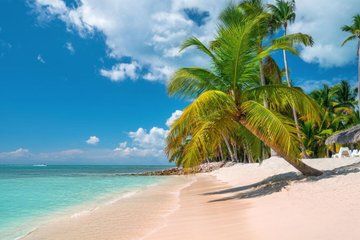 Catalina Island even more unspoilt than Saona Island