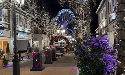 Designer Outlet Shopping Private Day from Brussels Maasmechelen