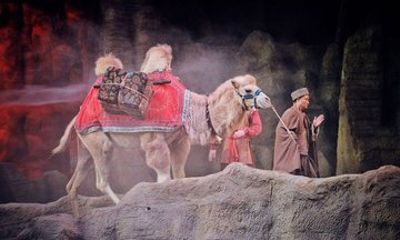 Silk Road Theme Show Legend of Camel Bell Optional Transfers