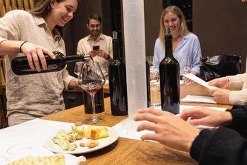 Wine Blending Experience in Uco Valley + Lunch & Private Transfer