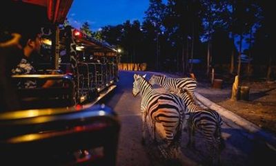 Singapore Night Safari with Tram Ride and Hotel Transfers