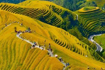 Longji Rice Terraces Private Tour from Guilin