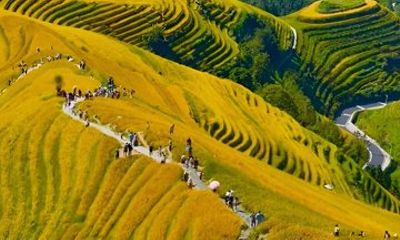 Longji Rice Terraces Private Tour from Guilin