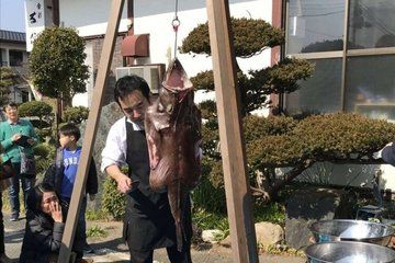 Anglerfish Masterclass Port Auction and Hands on Butchery Trans