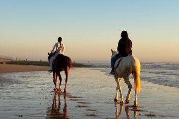 Sunset Half Day Horse Riding Experience in Agadir and Taghazout