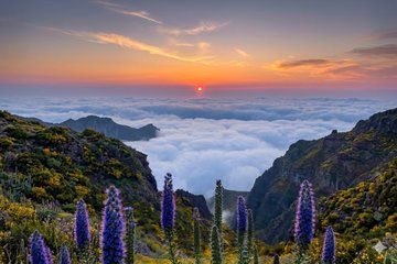 Private 4x4 Sunrise Tour in Madeira