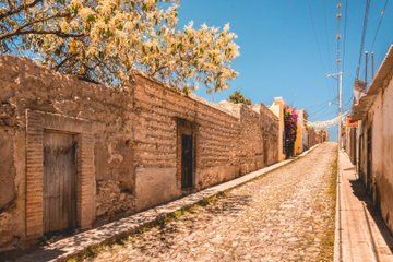 The Road to Old Mexico Pozos Ghost Town and Xichú Oasis Tour