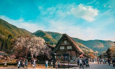Hakodate Full Day Customized Tour with Local Guide by Private Car