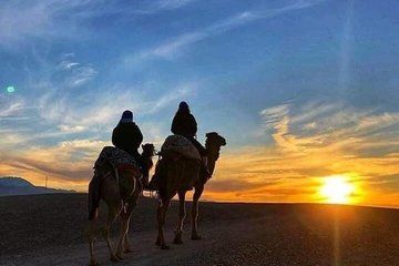 Agafay Desert Sunset Camel Ride and Dinner from Marrakech