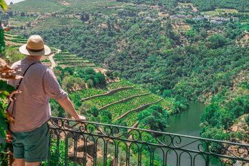 Porto Valley in Small Group Full Day