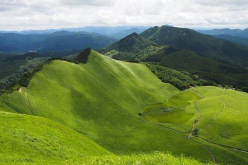 Nara Private Tour Nature Temples Beyound Tourist Spots