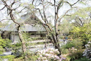 Kyoto Tour of Palace Castle Temples and Hidden Gems