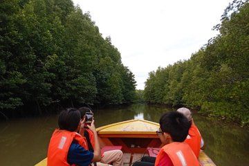 Sandakan: Local Stories, City, Spice, Cruise, Fireflies Tour